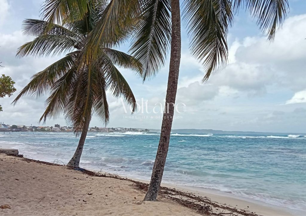 Photos_LOASJOE